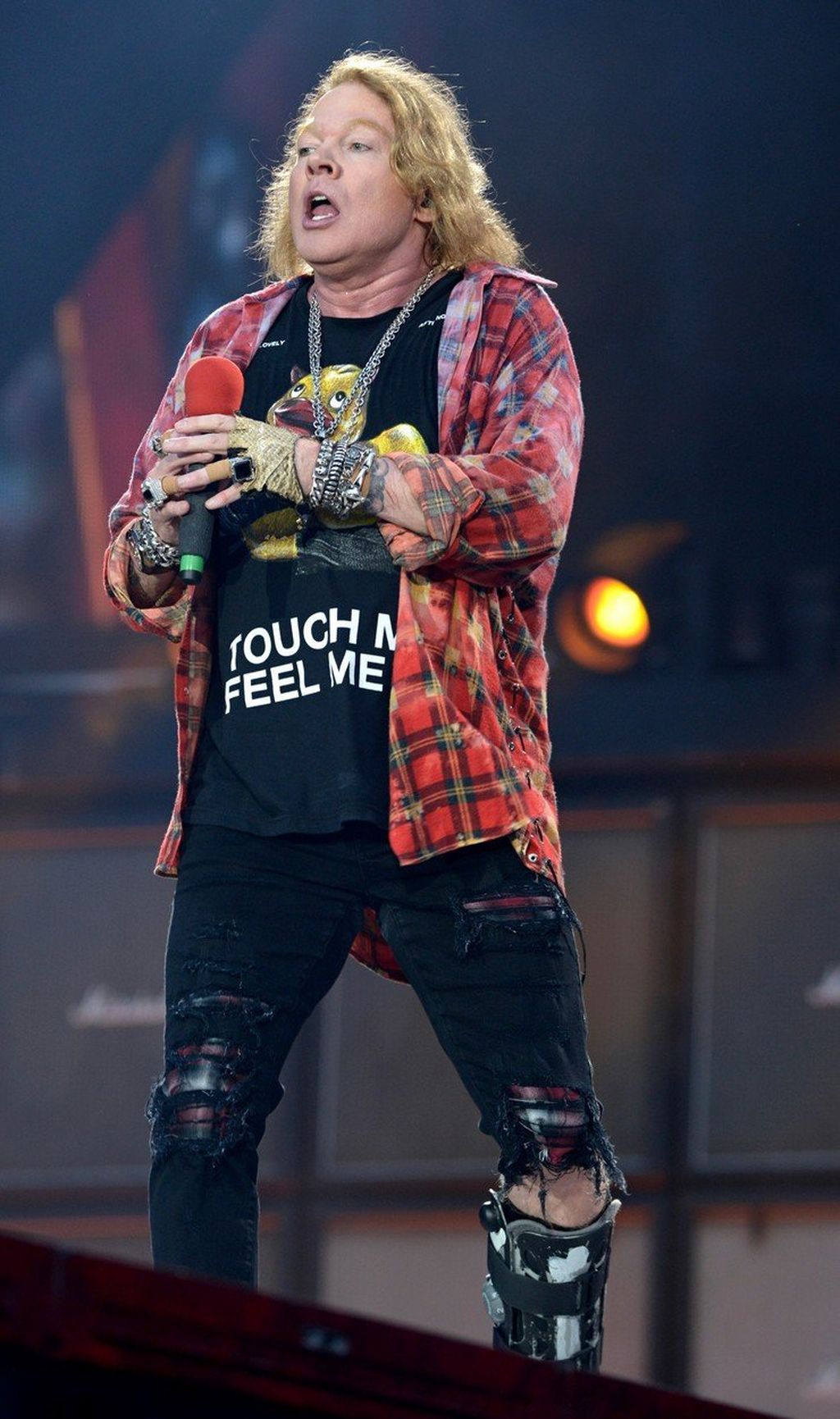 Axl Rose (Foto: Profimedia)