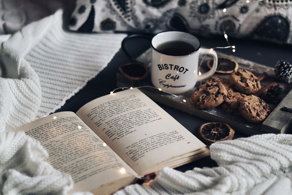 Knjige za božićne poklone - 10