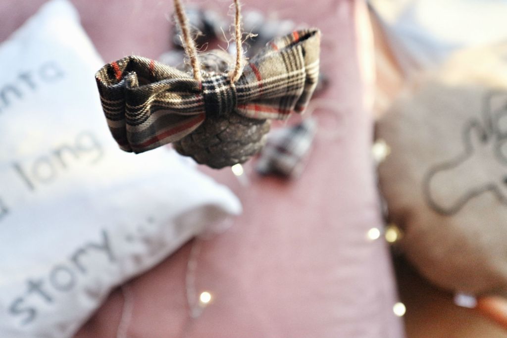 Take Tha Break ukrasi s češerima - 4