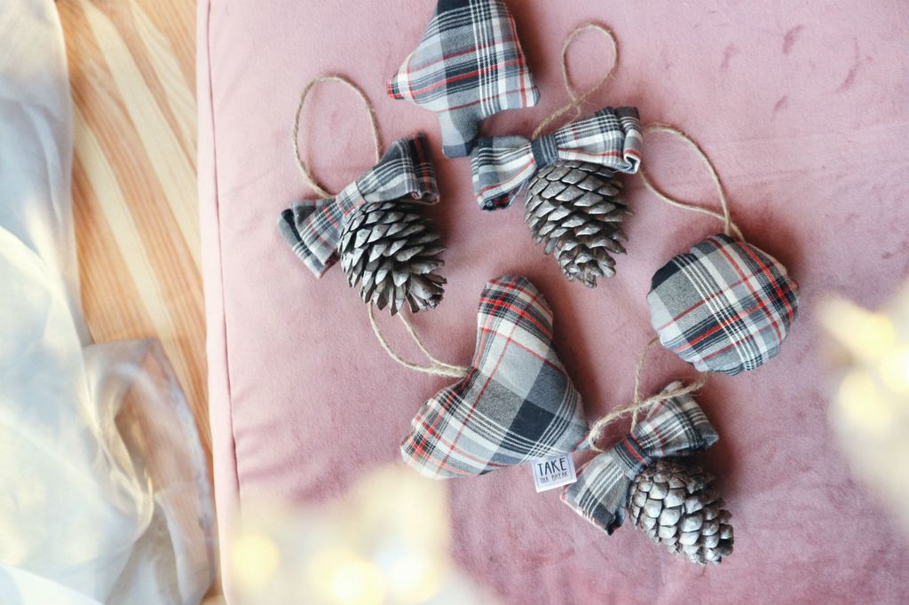 Take Tha Break ukrasi s češerima - 9