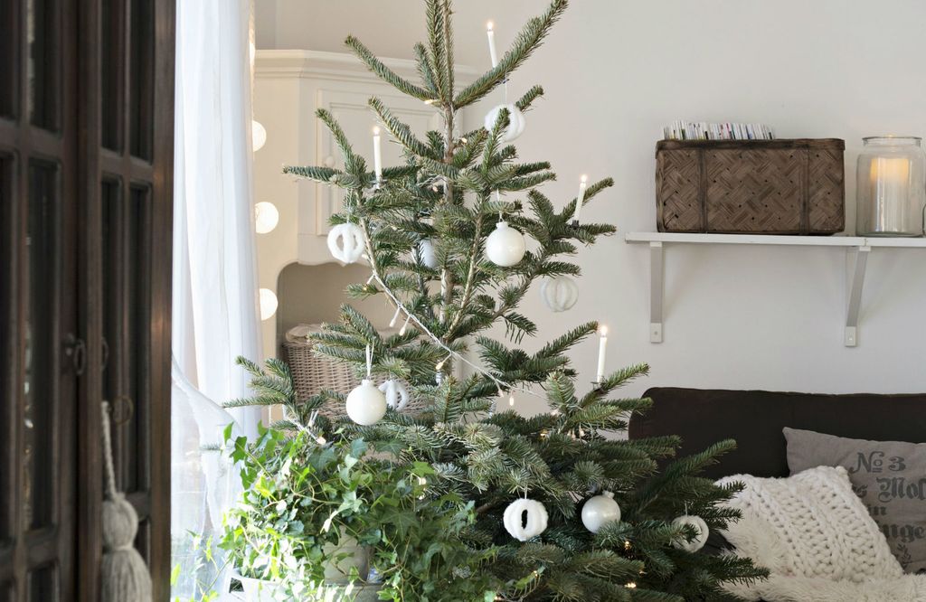 Novi trend božićnih drvaca - 6