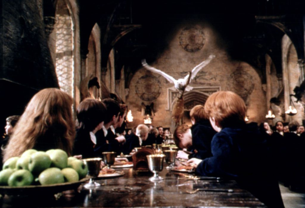 Harry Potter i kamen mudraca