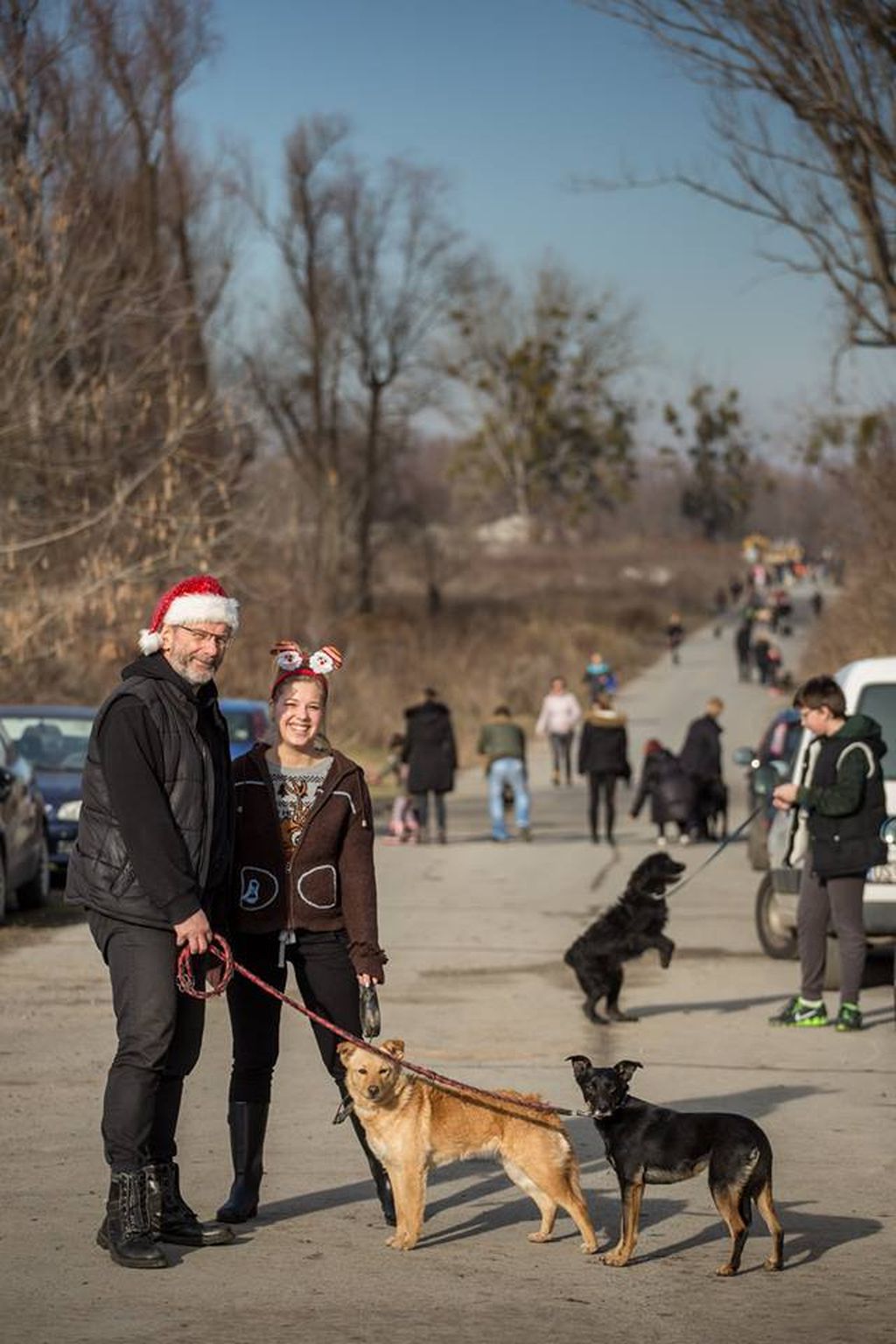 Tradicionalni božićni ručak za pse u osječkom azilu Udruge Pobjede - 3