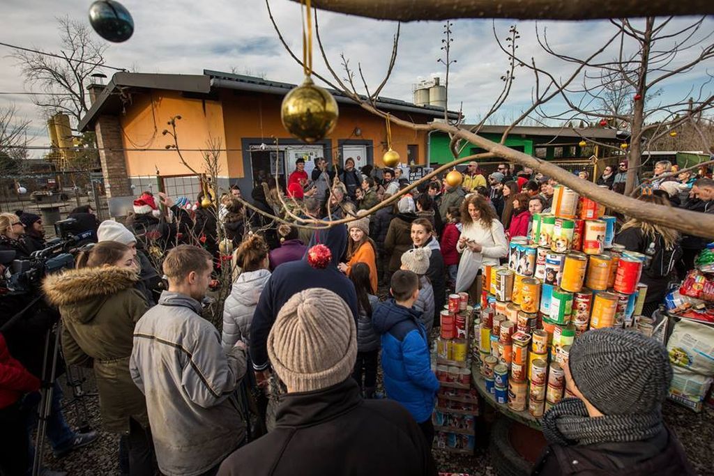 Tradicionalni božićni ručak za pse u osječkom azilu Udruge Pobjede - 4