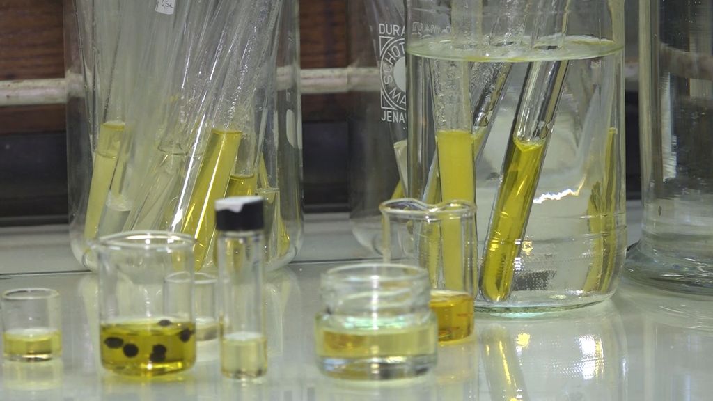 Nataša Šijaković Vujičić