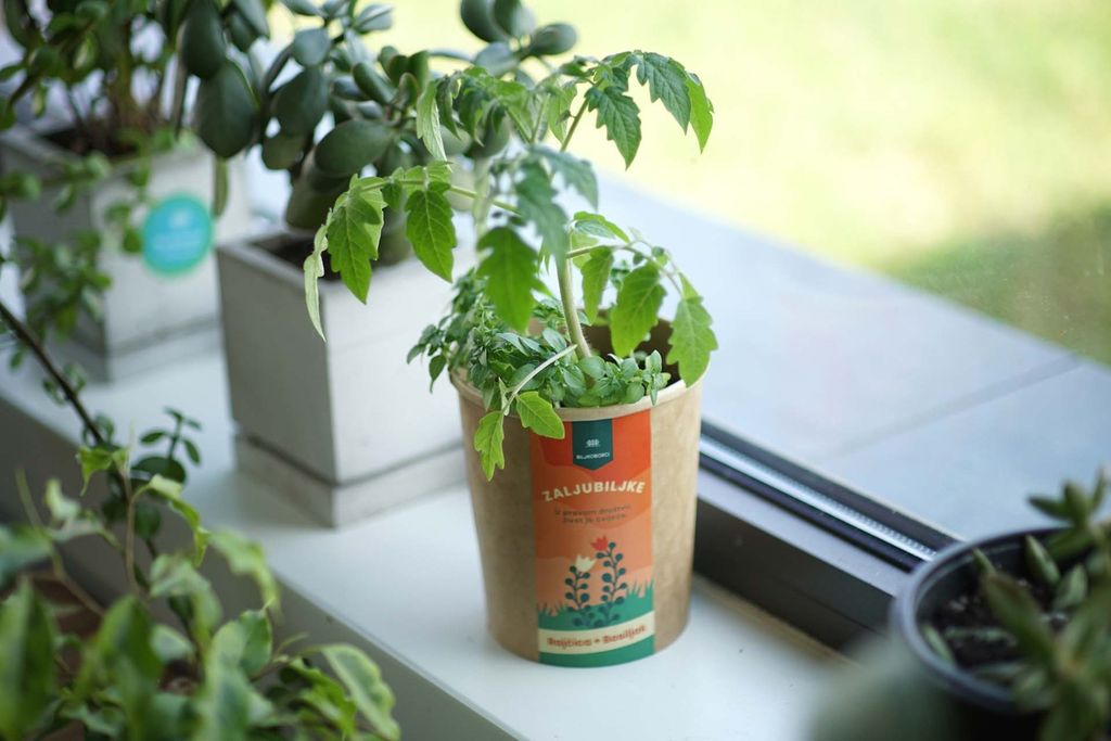 Svoju ponudu predstavit će i Biljkoborci