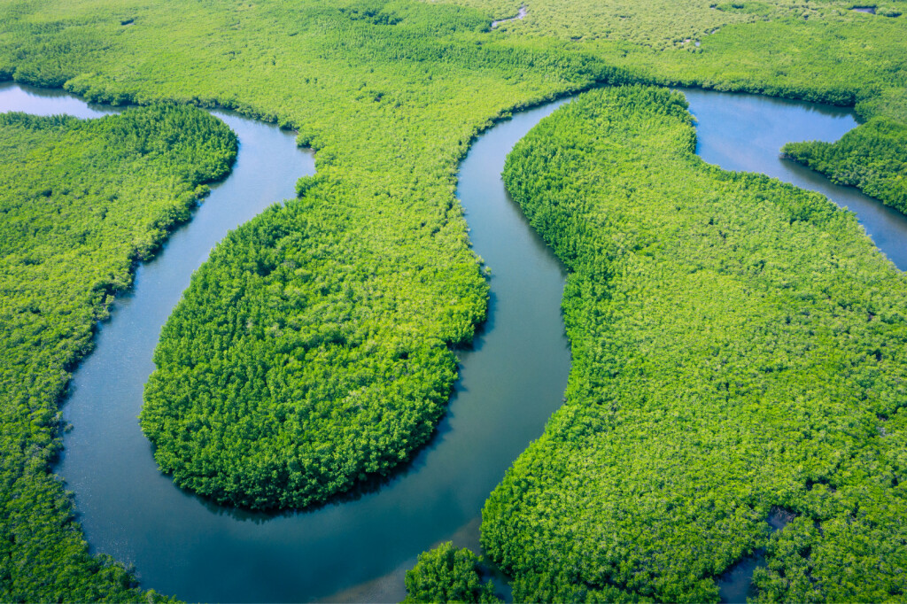 Većina amazonske kišne šume nalazi se u Brazilu