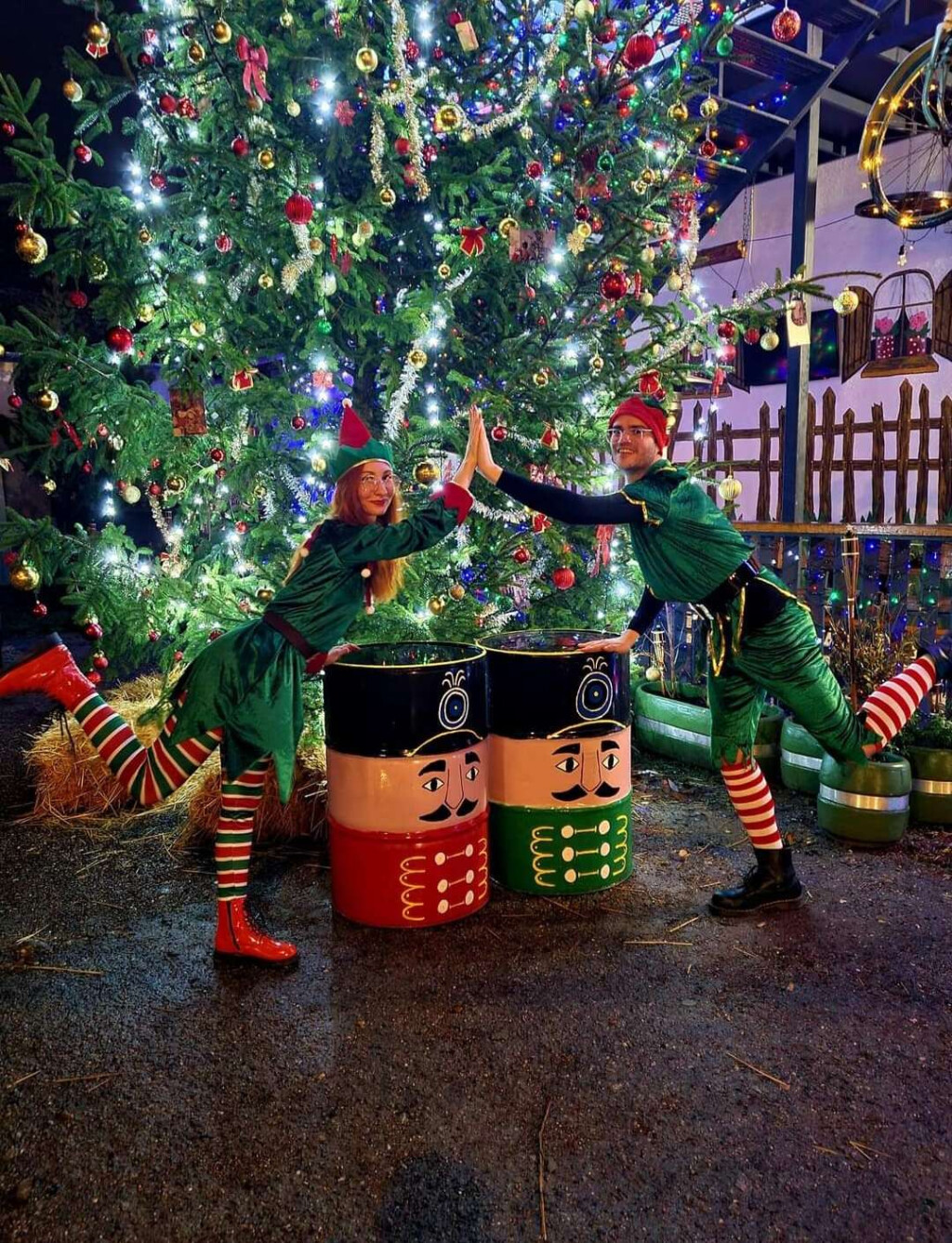 Božićna bajka u Bajkovitoj kući - 12