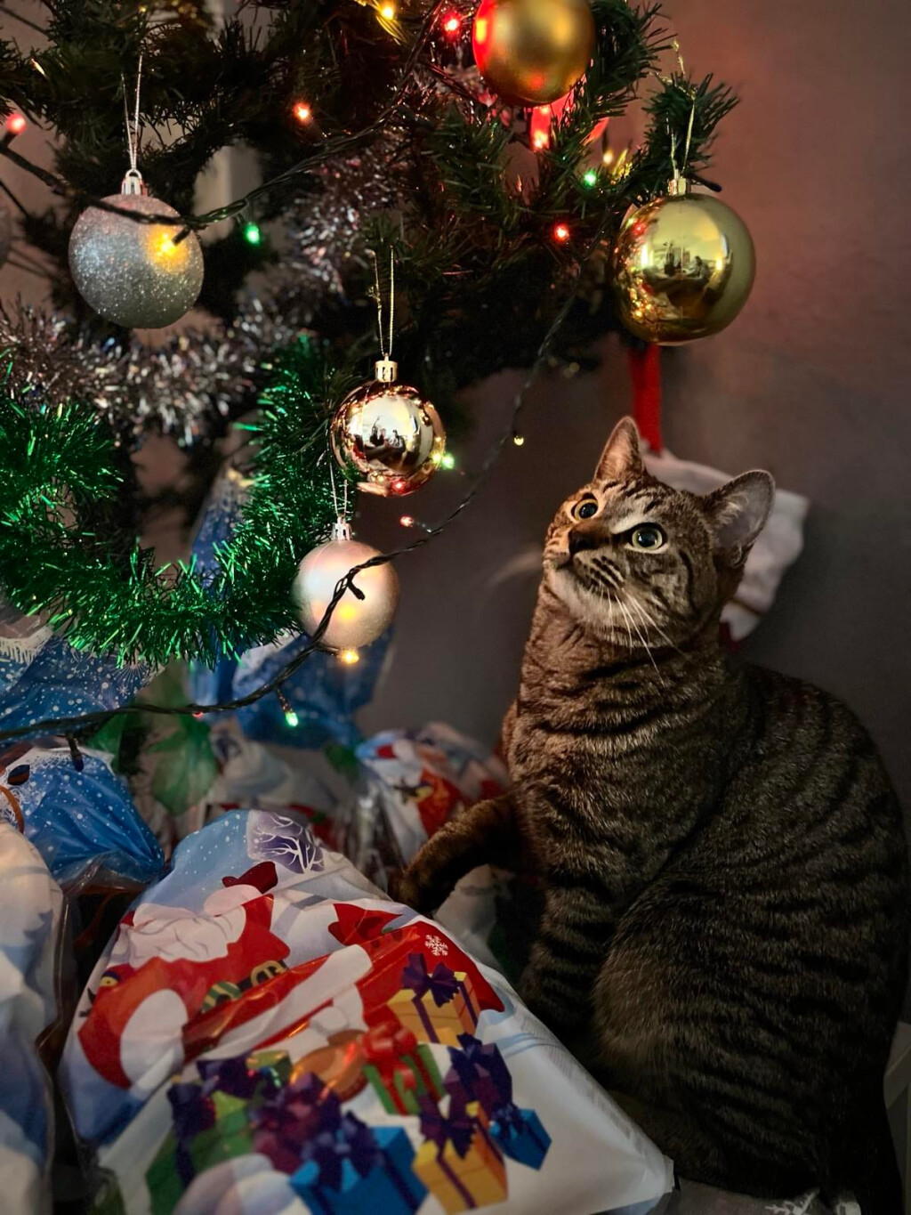 Baš je blještav ovaj Božić