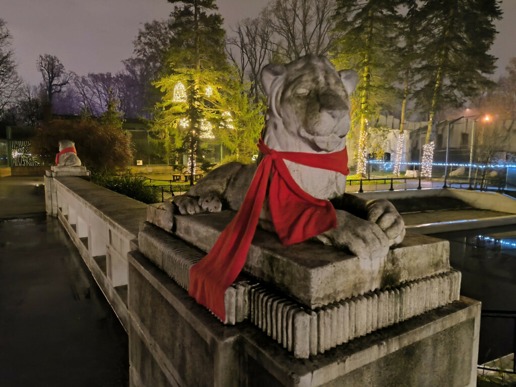 Advent u Divljem srce grada počinje 2. prosinca - 3