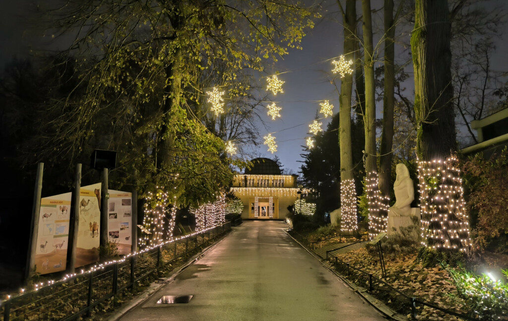 Advent u Divljem srce grada počinje 2. prosinca - 4