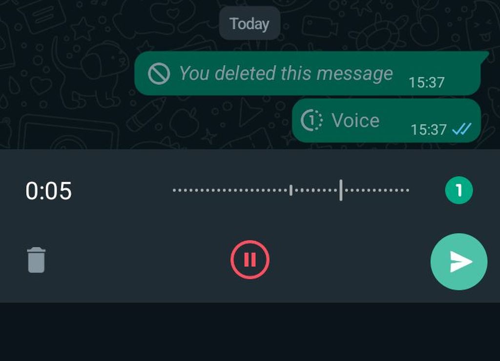 Primjer nestajuće glasovne poruke na WhatsAppu