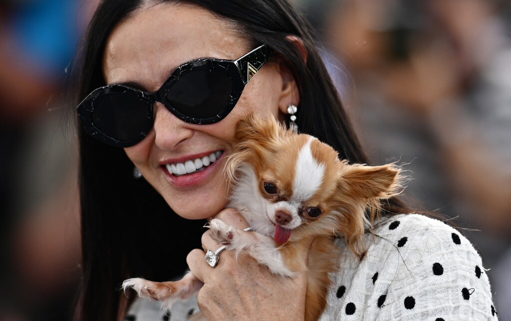 Demi Moore i njezina čivava Pilaf