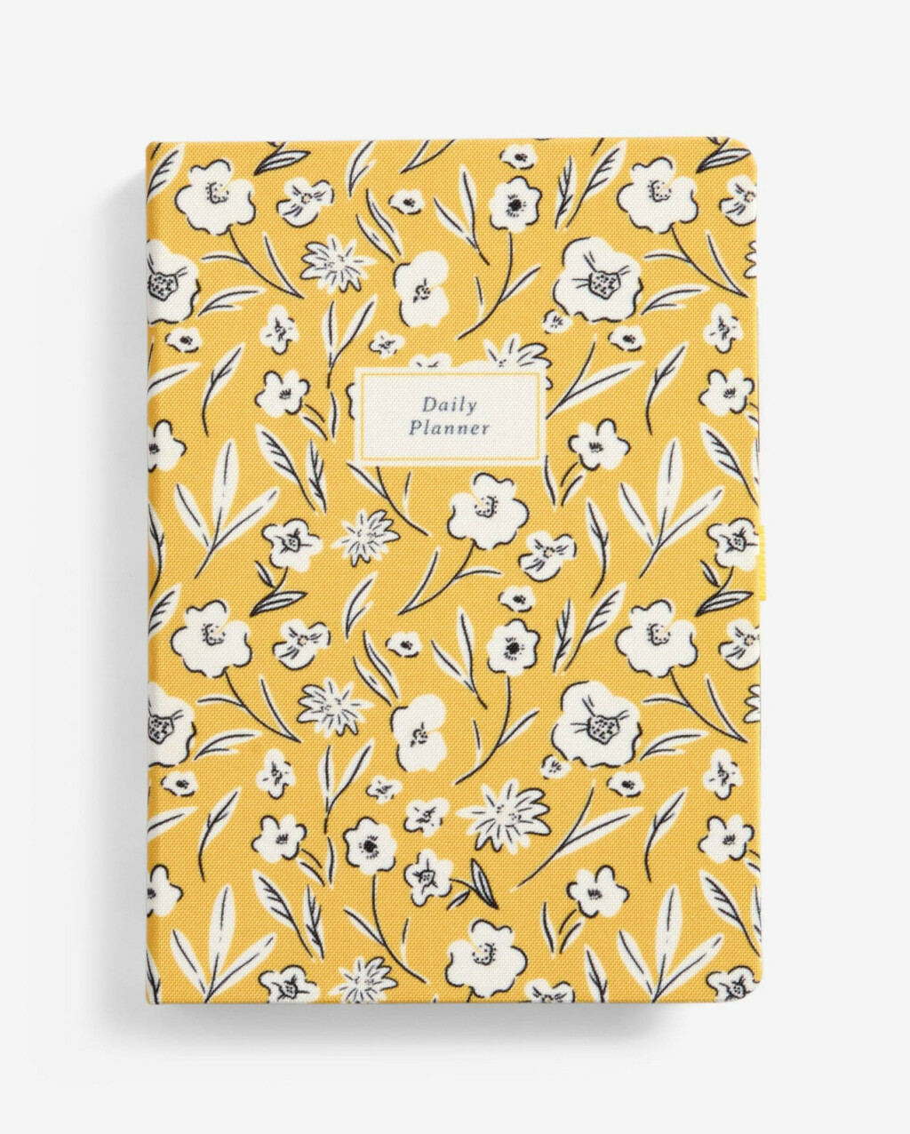 Next planer za 2025, godinu, 12 eura