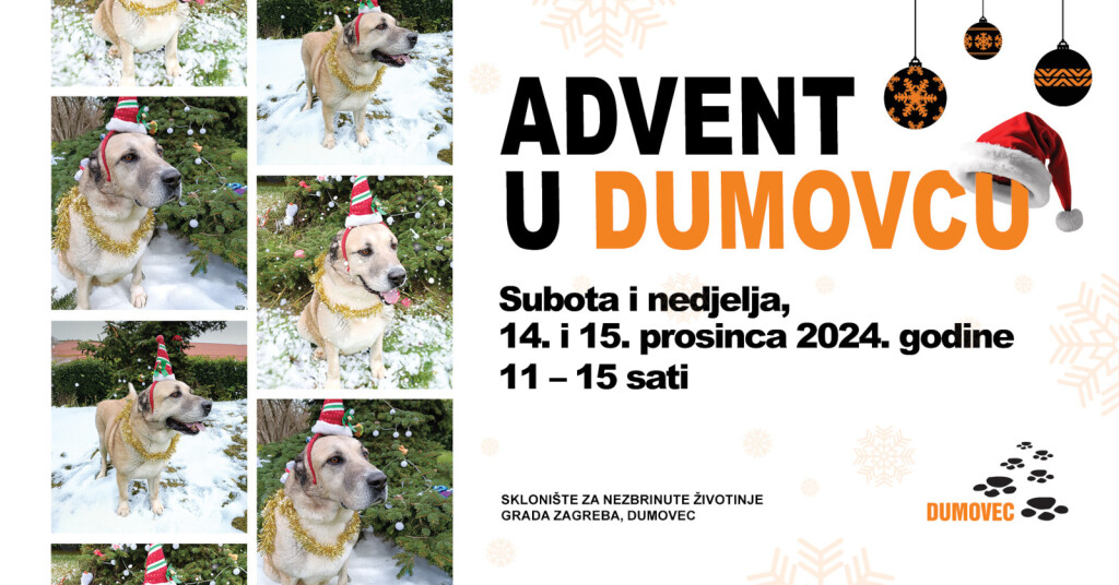 Advent u Dumovcu održat će se 14. i 15. prosinca - 3