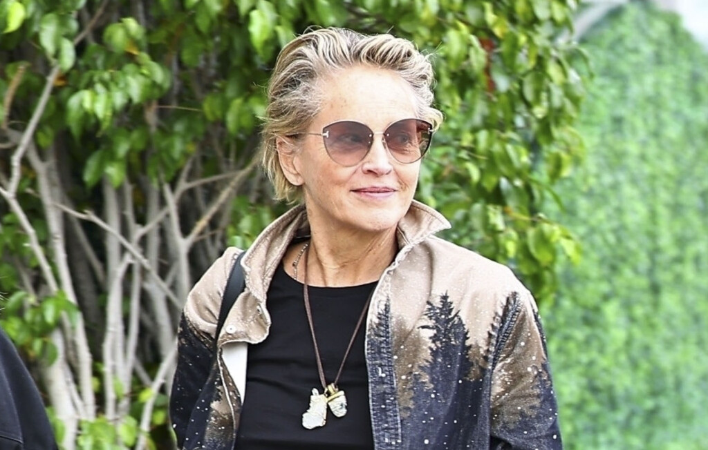 Sharon Stone u kožnatim hlačama i cipelama 'istrošenog' izgleda - 5