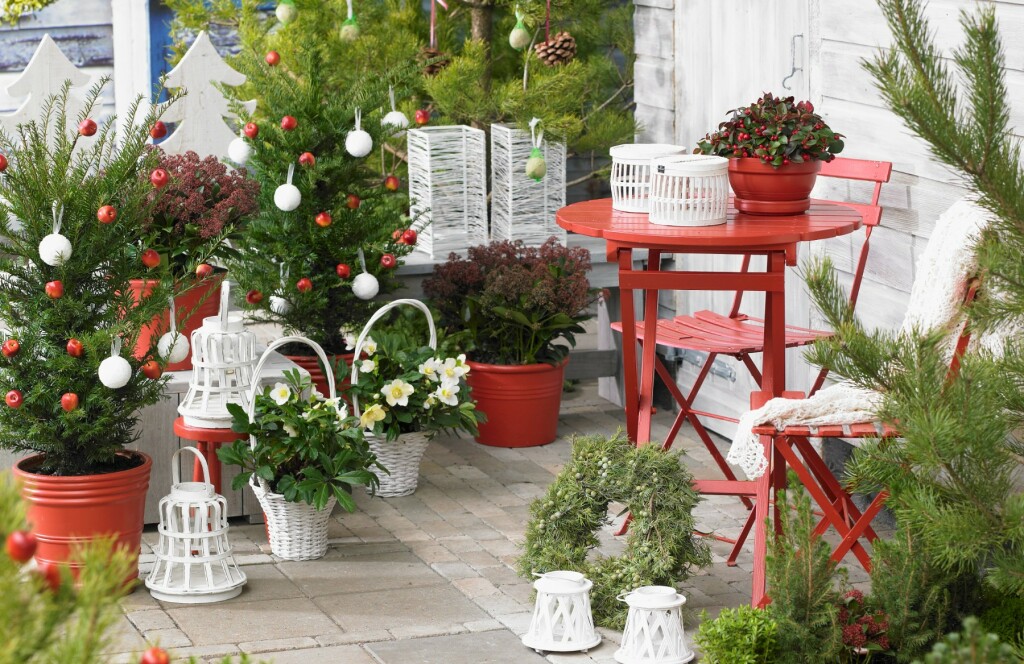 Ukrašena drvca u dvorištima