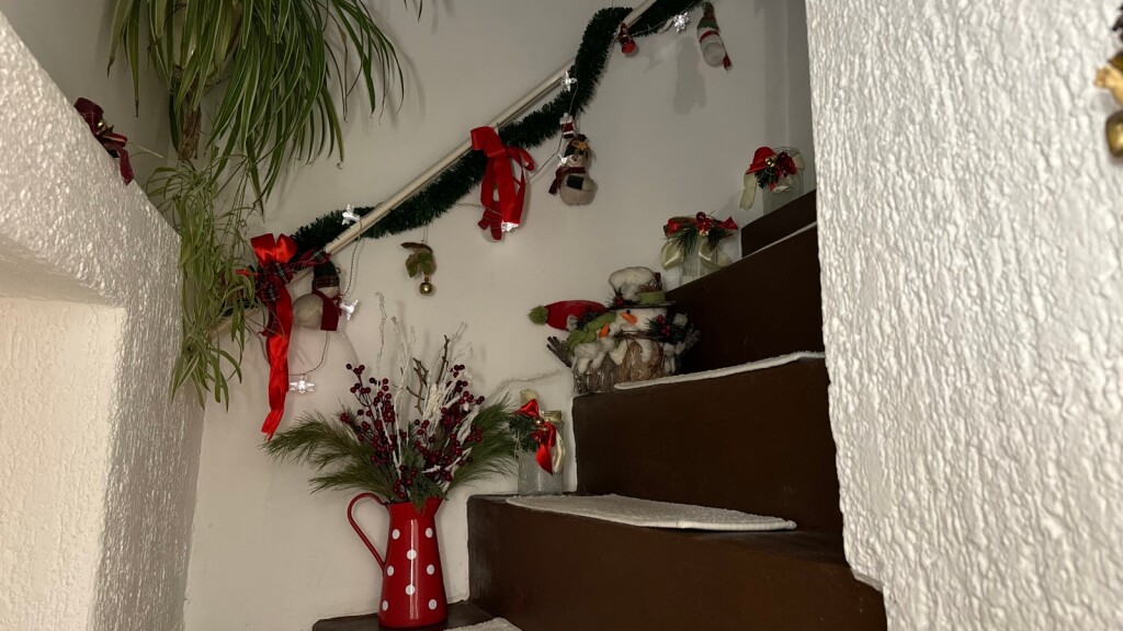 Božićno uređenje obitelji Topolovec iz Zagreba