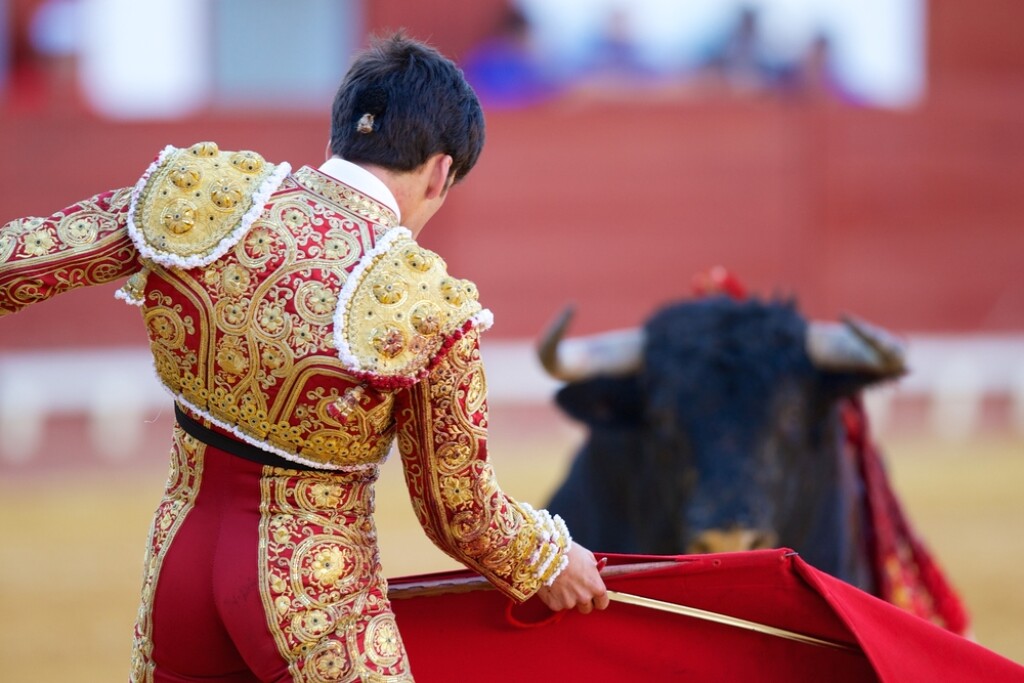 Plaza de Toros México - 2