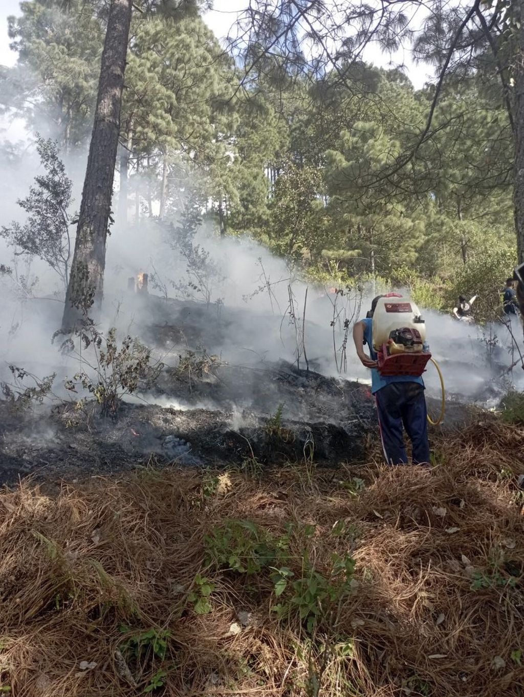 Srušio se avion u Meksiku - 3