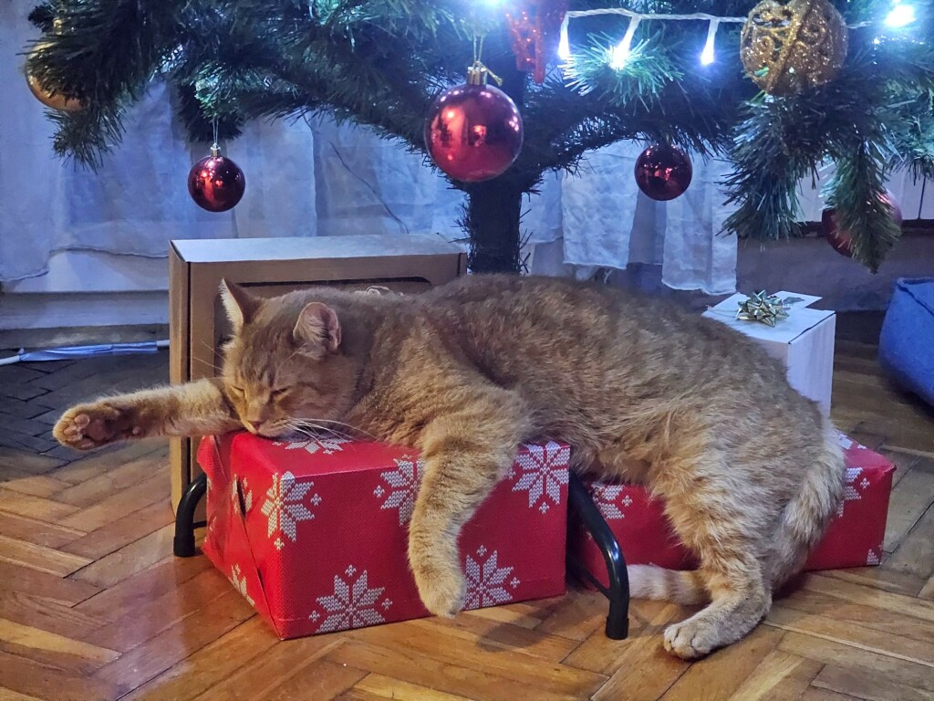 Sonja Banjan Matosevic