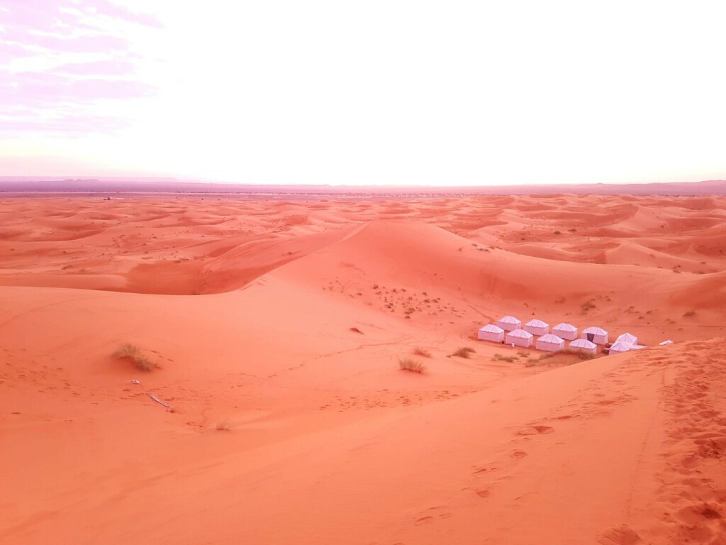 Sahara - 5