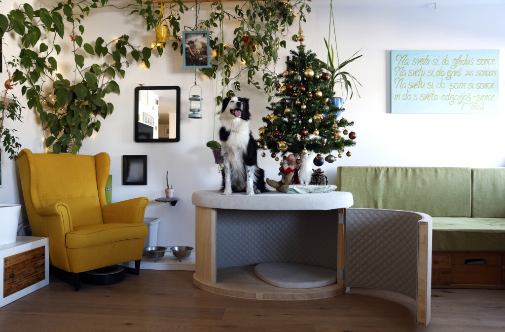 Uroš Abram i Petra Novak iz Slovenije napravili su prvu zvučno izoliranu kućicu za pse na svijetu