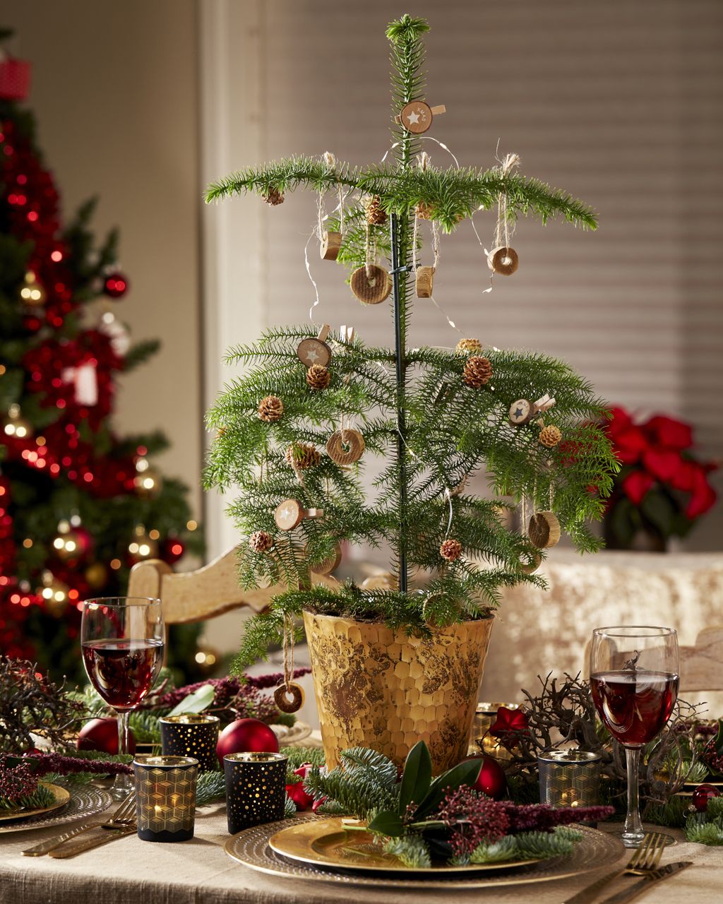 Norfolk bor: Tropska biljka koja izgleda poput male verzije božićne jelke