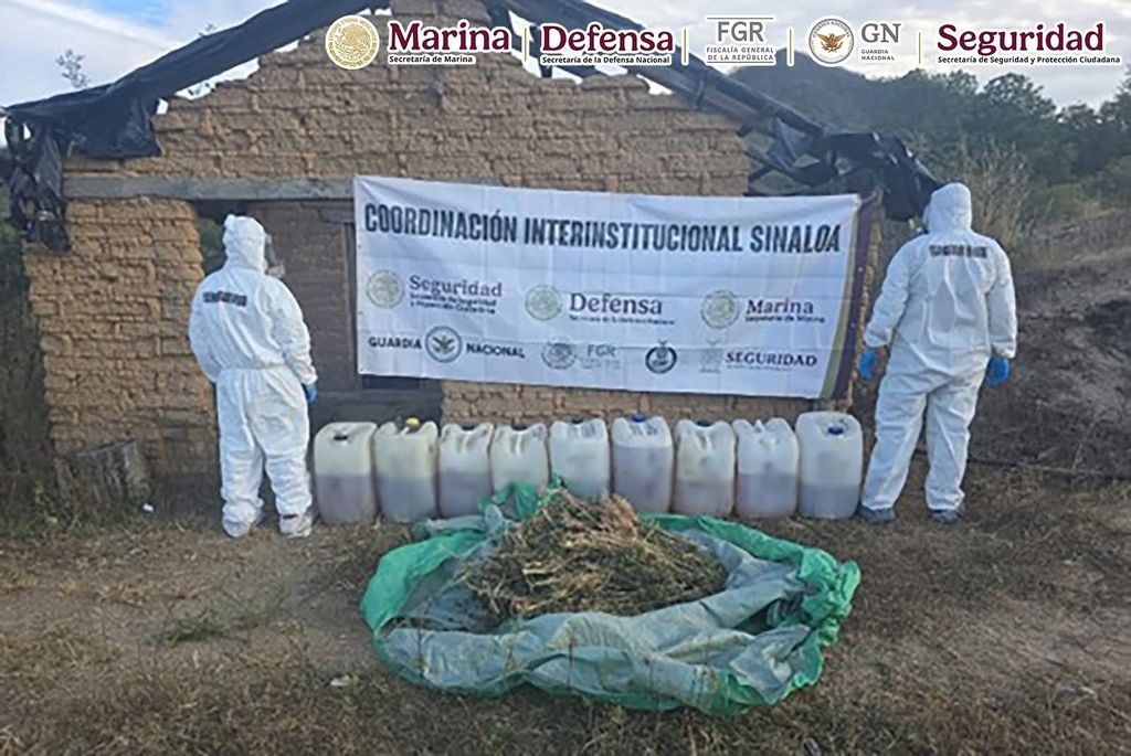 Zapljena u specijalnoj operaciji u Meksiku