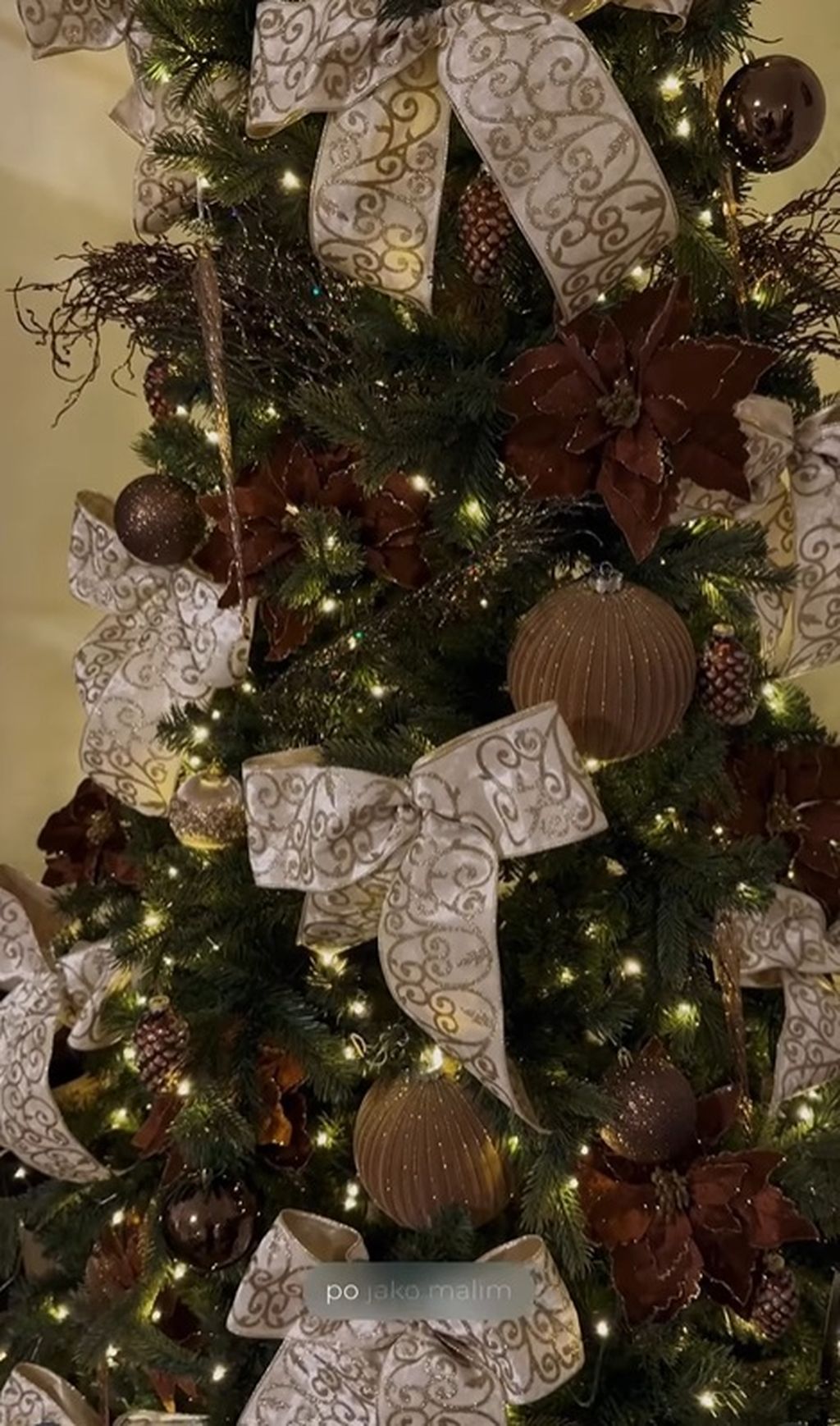 Ella Dvornik na Instagramu - 7