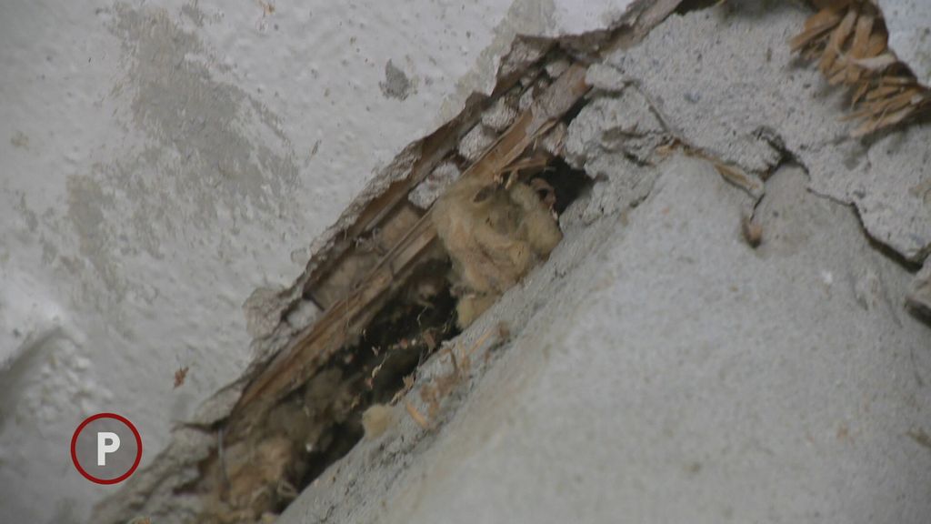 Provjereno: Obnova Banovine - 4