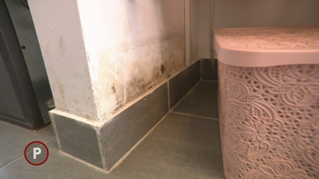 Provjereno: Obnova Banovine - 4