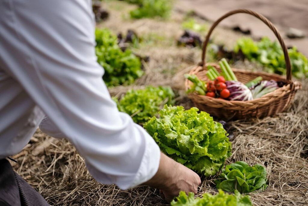 Hotel Grad Otočec - 12