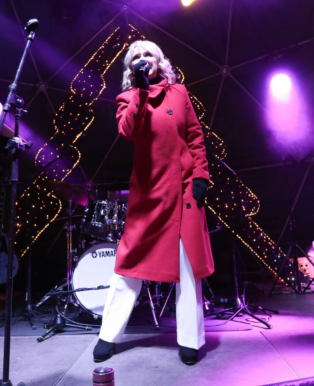 Tajči je nastupila na Adventu u Samoboru - 5