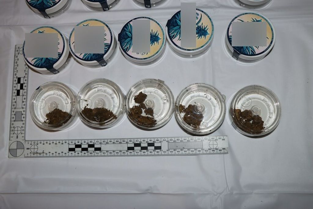 Uhićenje, ilustracija