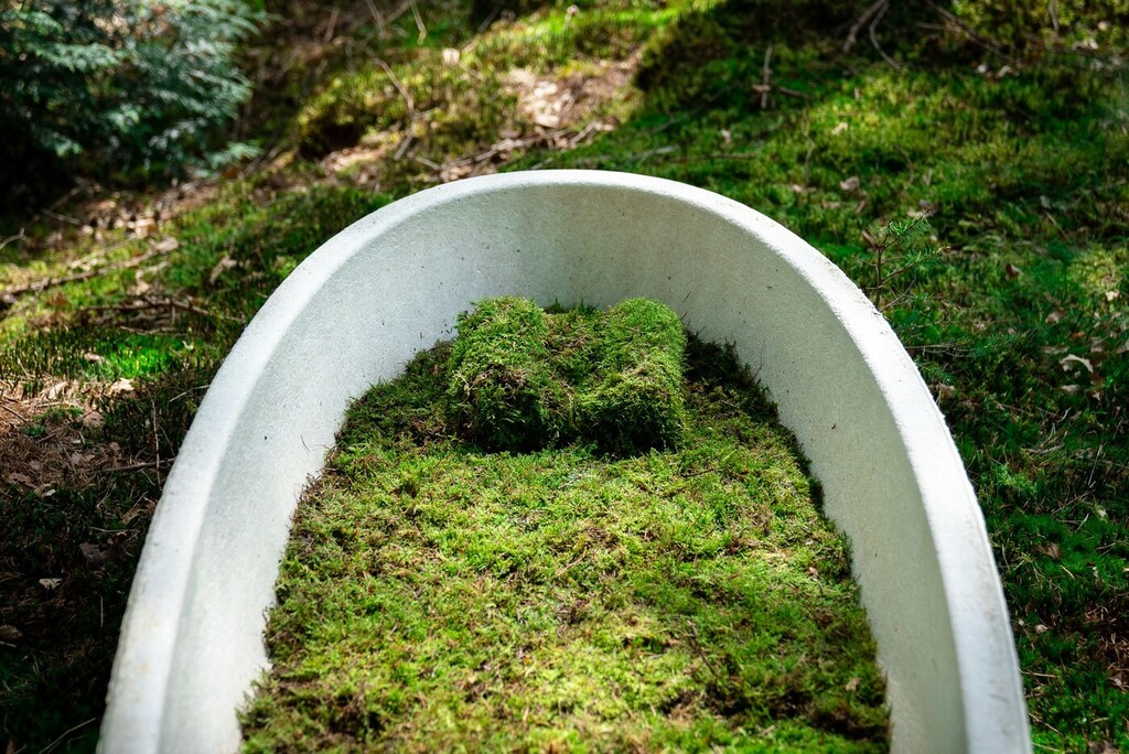 Lijes je podstavljen mahovinom