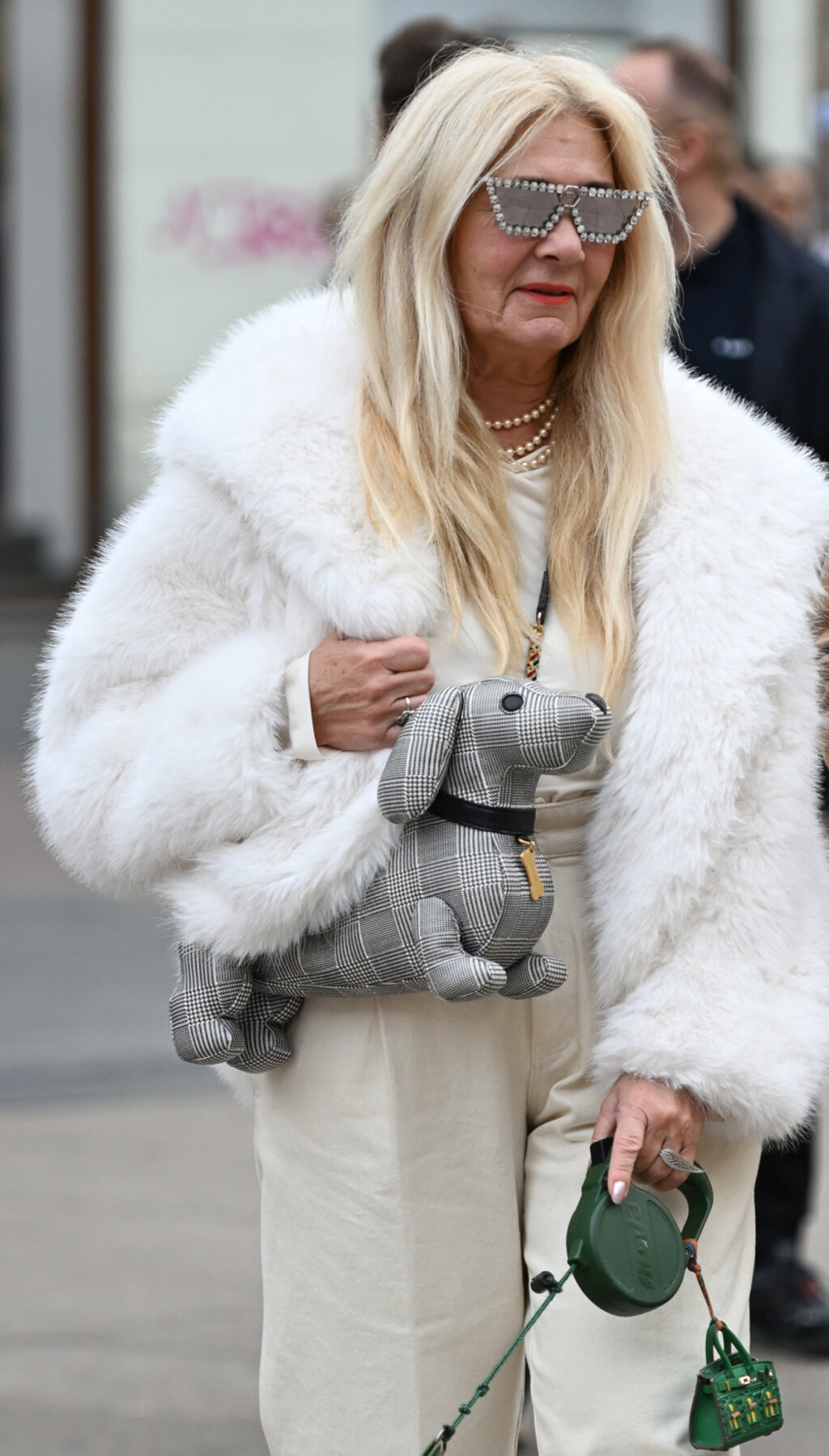 Bunde sa zagrebačke špice - 3