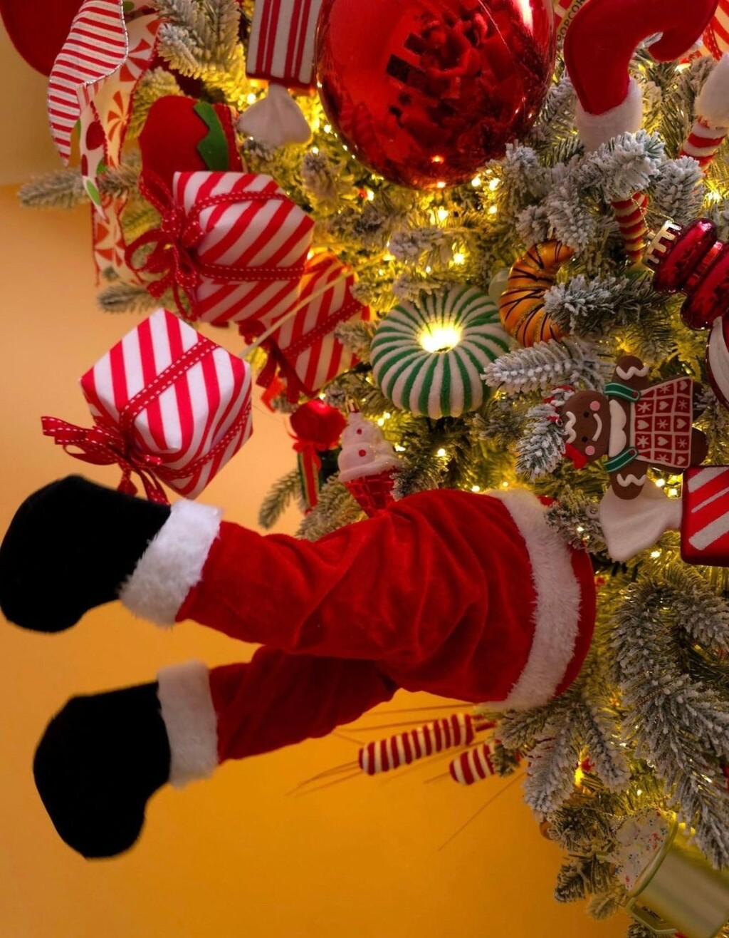 Božićno uređenje Jelena Gazdović iz Požege