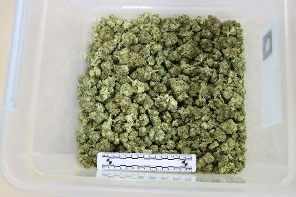 Pronađena droga - 5