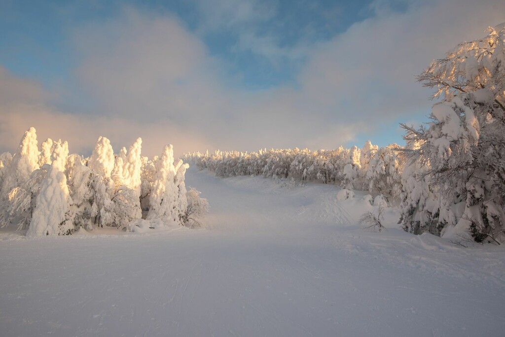 Snježna čudovišta - 9