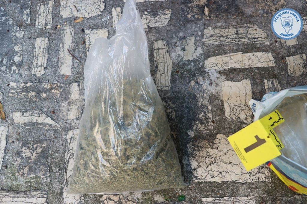 Pronađena droga u Istri - 3