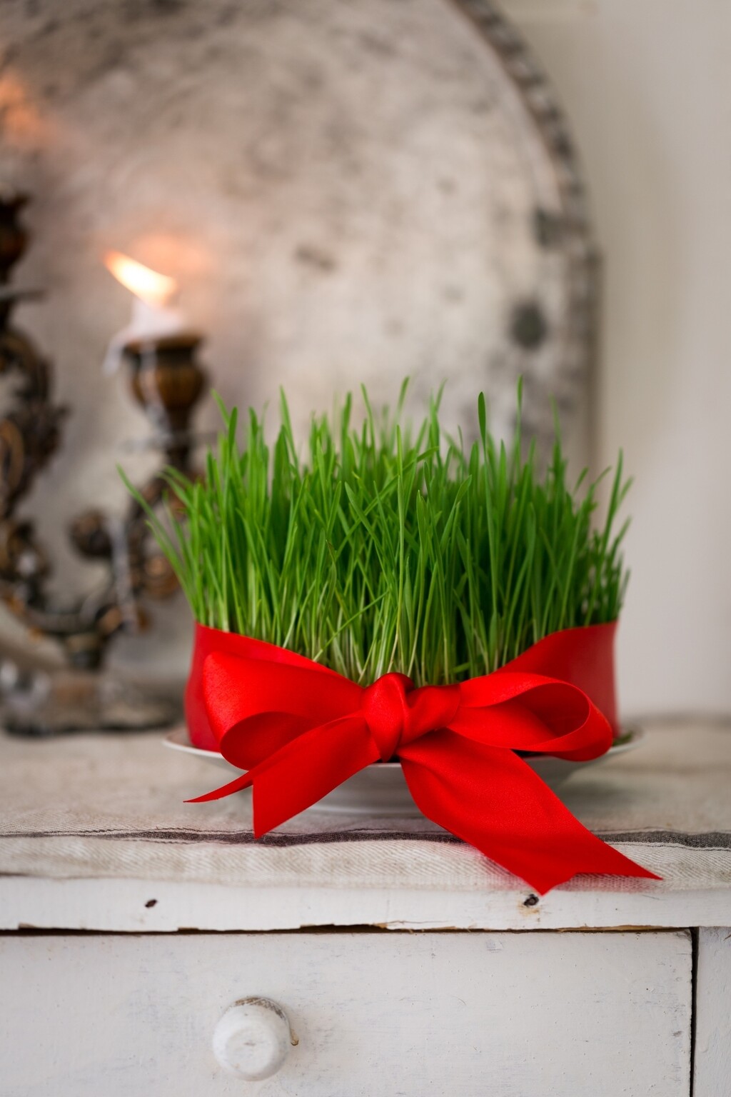 Božićna pšenica na vati