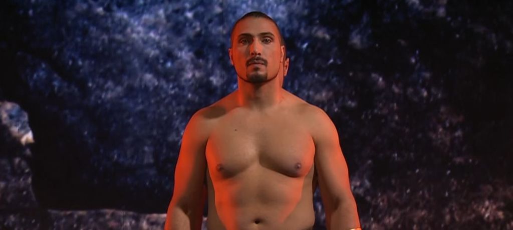 Vardanyan Brothers polufinale, Supertalent