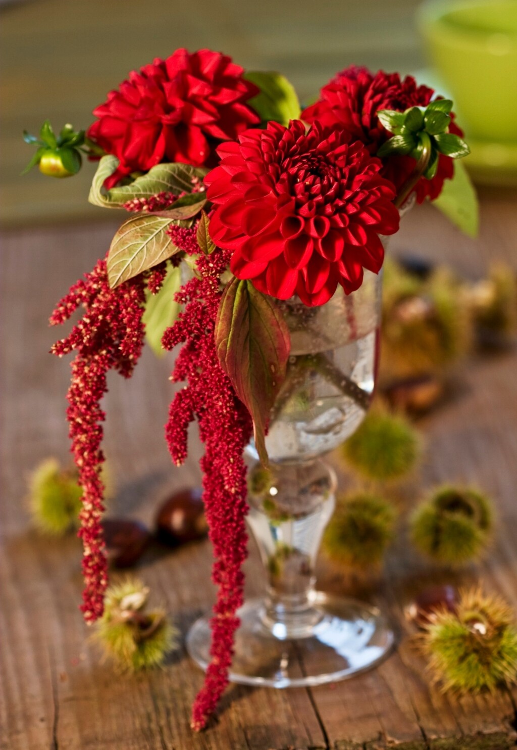 Crveni lisičji rep još će pojačati dozu dramatičnosti