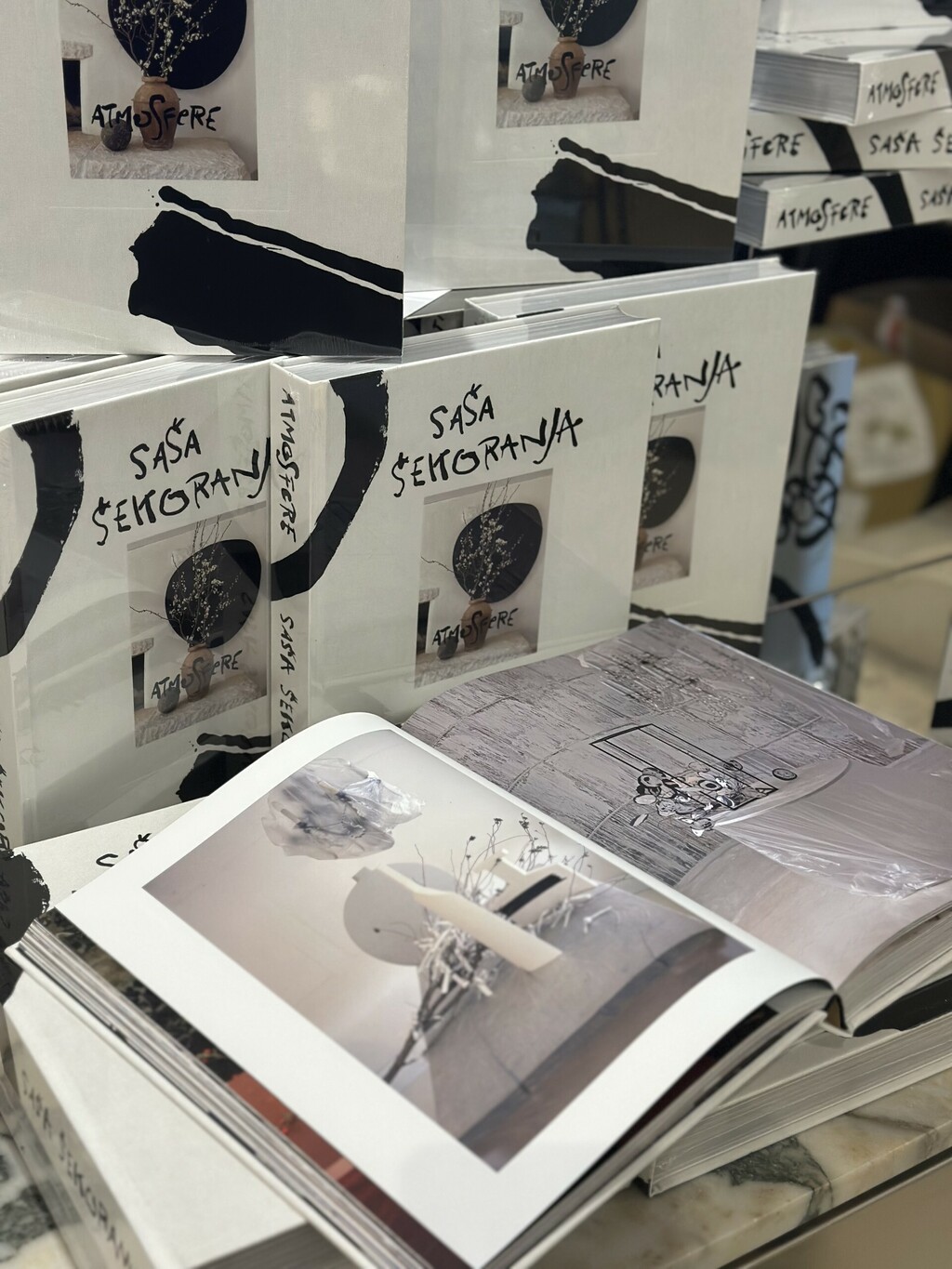 Knjiga Atmosfere Saše Šekoranje