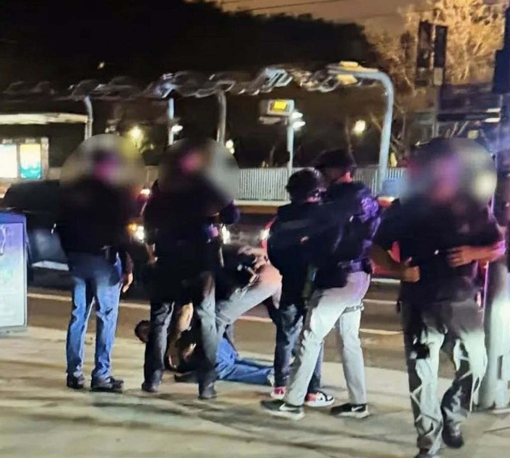 Uhićenje Nicka Reinera - 2