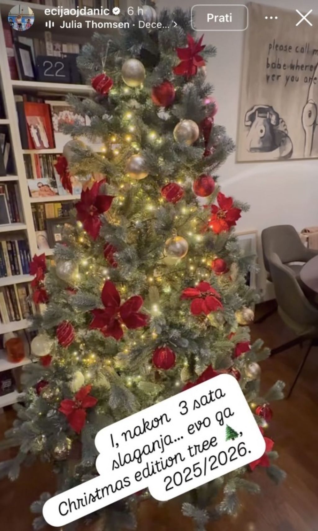 Ecija Ojdanić na Instagramu - 3