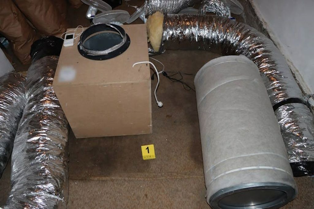 Policija, ilustracija