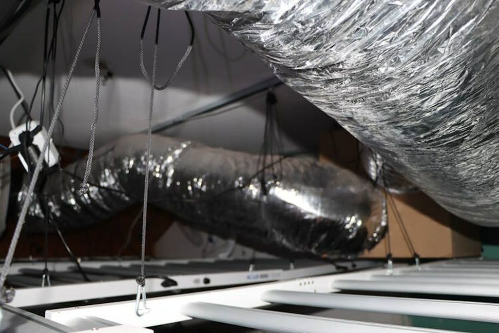 Policija, ilustracija