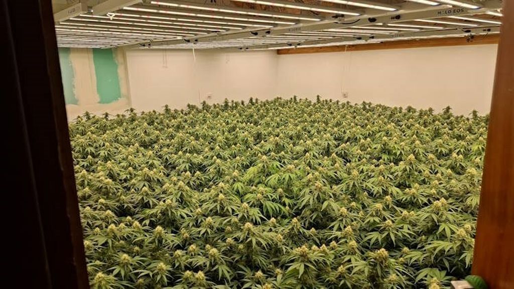 Policija, ilustracija